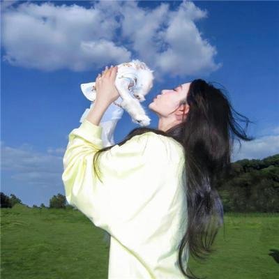 霸王大系龙骑士