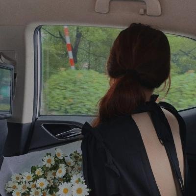 地球：神奇的一天